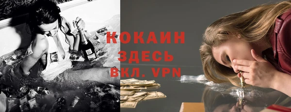 МДПВ Алексин