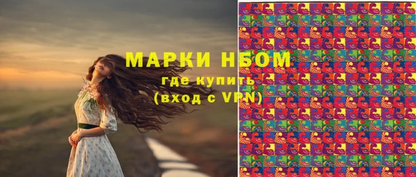 МДПВ Алексин