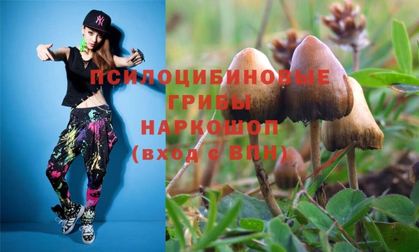 мяу мяу мука Алексеевка