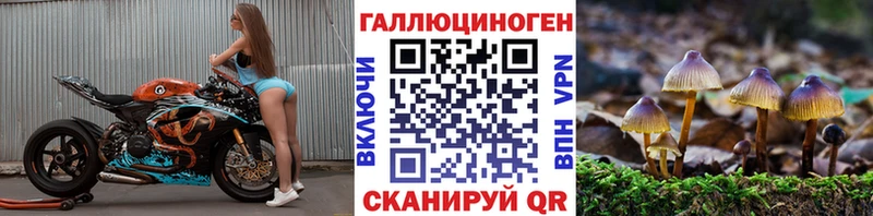 продажа наркотиков  Чехов  Псилоцибиновые грибы прущие грибы 